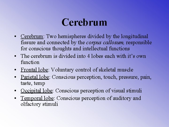 Cerebrum • Cerebrum: Two hemispheres divided by the longitudinal fissure and connected by the