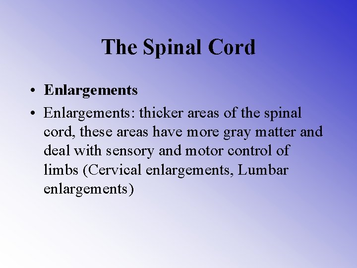 The Spinal Cord • Enlargements: thicker areas of the spinal cord, these areas have