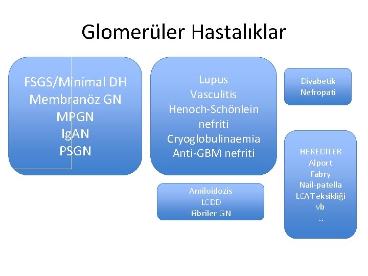Glomerüler Hastalıklar FSGS/Minimal DH Membranöz GN MPGN Ig. AN PSGN Lupus Vasculitis Henoch-Scho nlein