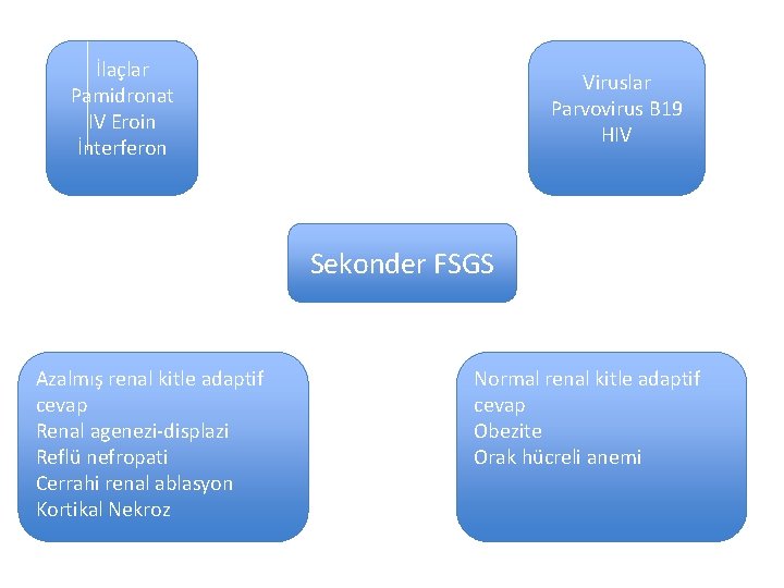 İlaçlar Pamidronat IV Eroin İnterferon Viruslar Parvovirus B 19 HIV Sekonder FSGS Azalmış renal