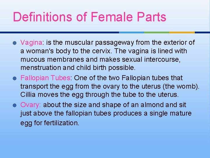 Definitions of Female Parts ¥ ¥ ¥ Vagina: is the muscular passageway from the