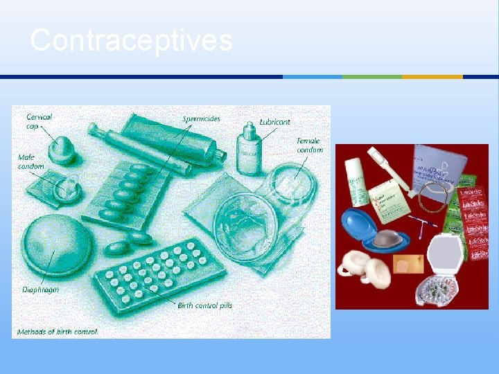 Contraceptives 