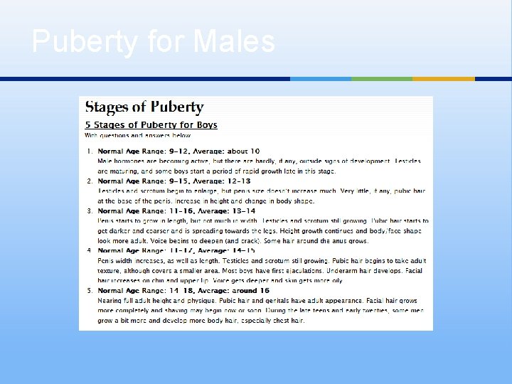 Puberty for Males 