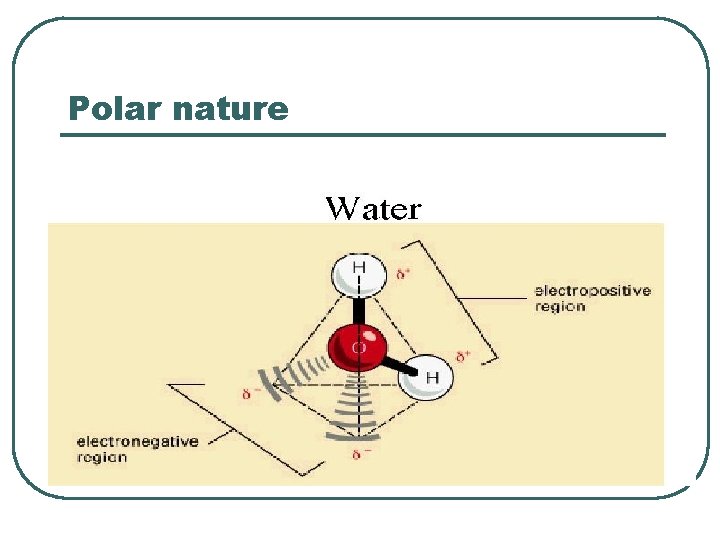 Polar nature 