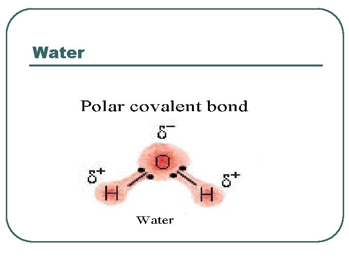 Water 
