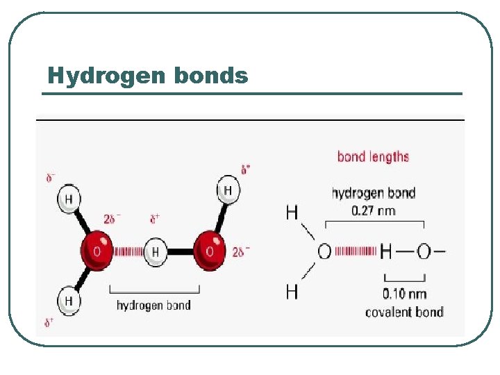 Hydrogen bonds 