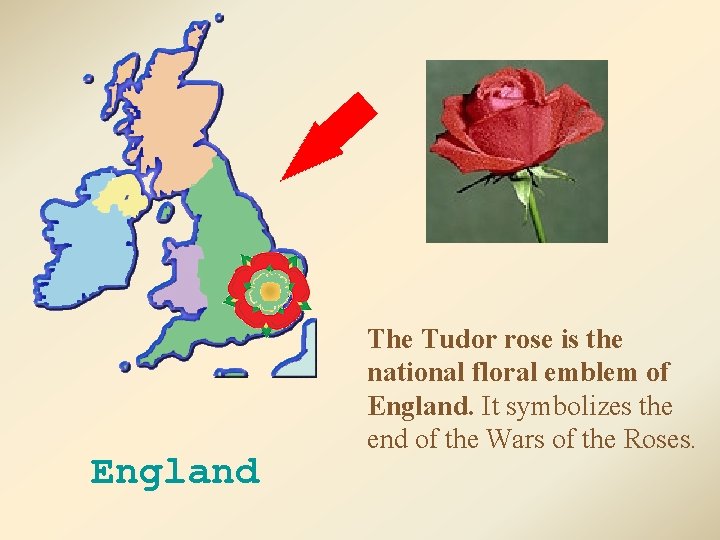 England The Tudor rose is the national floral emblem of England. It symbolizes the