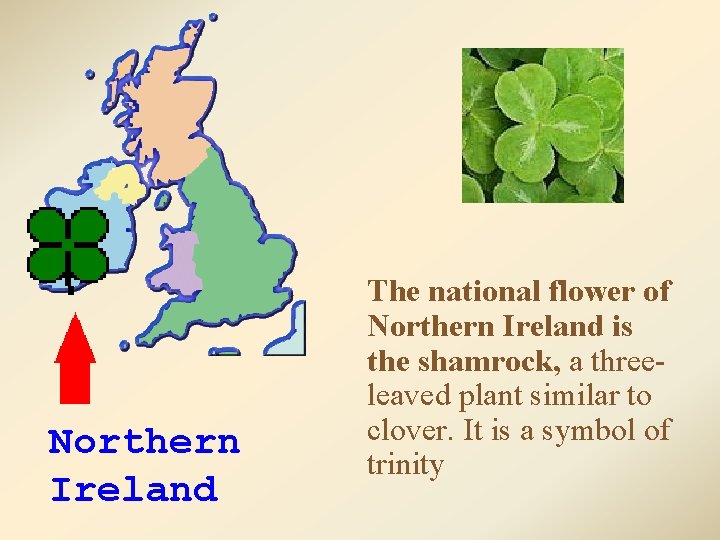 Northern Ireland The national flower of Northern Ireland is the shamrock, a threeleaved plant