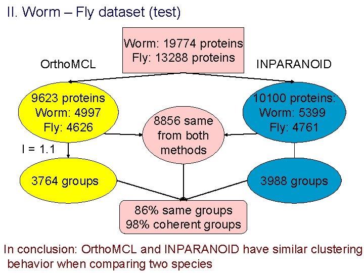 II. Worm – Fly dataset (test) Ortho. MCL 9623 proteins Worm: 4997 Fly: 4626