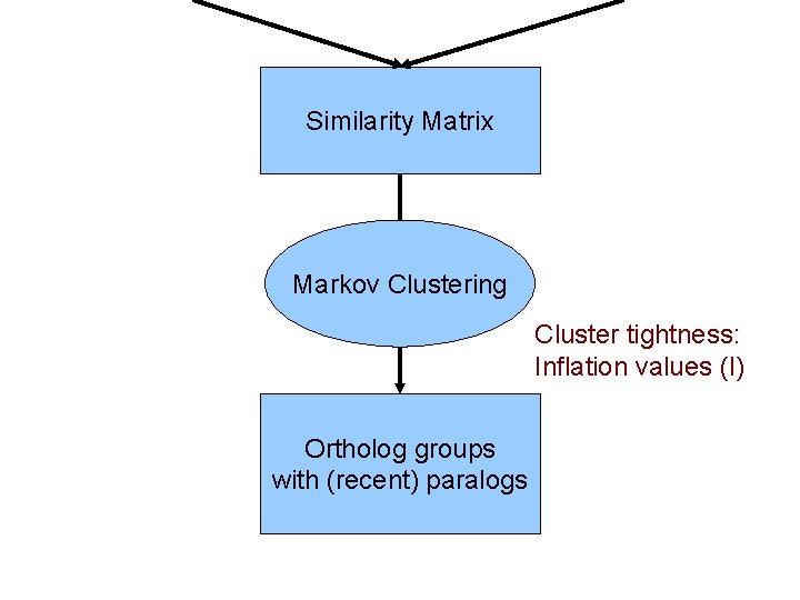 Similarity Matrix Markov Clustering Cluster tightness: Inflation values (I) Ortholog groups with (recent) paralogs