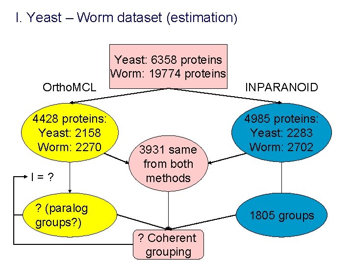 I. Yeast – Worm dataset (estimation) Yeast: 6358 proteins Worm: 19774 proteins Ortho. MCL