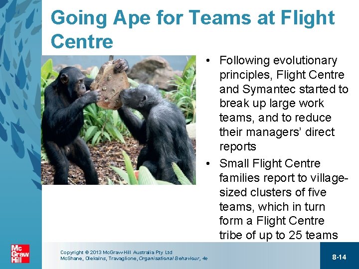 Going Ape for Teams at Flight Centre <<Insert Ape Image p. 258>> • Following