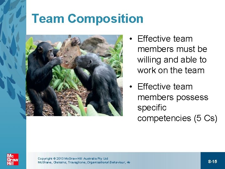 Team Composition • Effective team members must be willing and able to work on