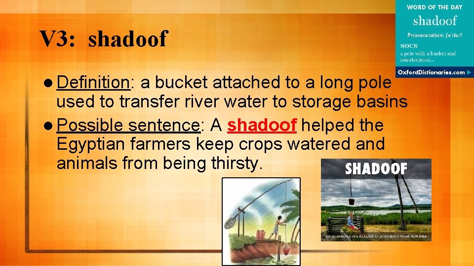 V 3: shadoof l Definition: a bucket attached to a long pole used to