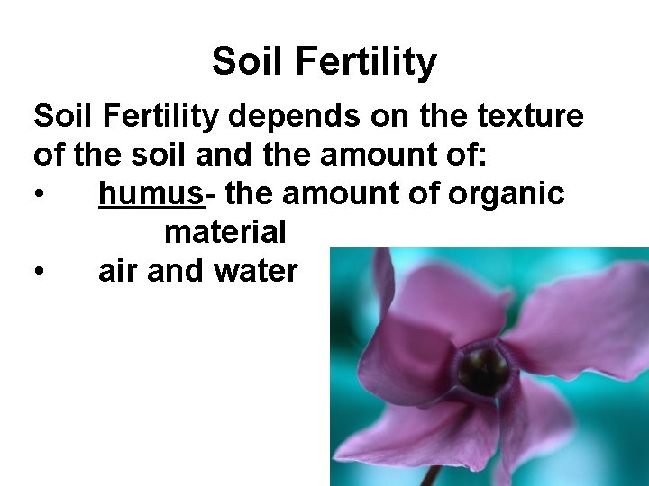 Soil Fertility depends on the texture of the soil and the amount of: •