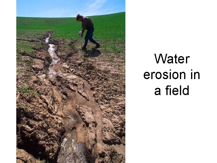 Water erosion in a field 