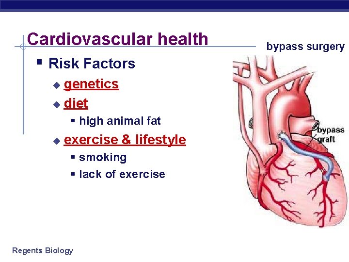 Cardiovascular health § Risk Factors genetics u diet u § high animal fat u