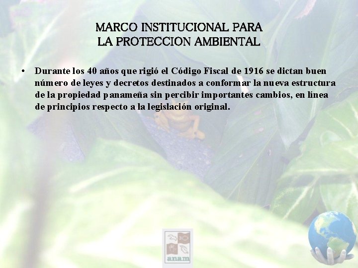 MARCO INSTITUCIONAL PARA LA PROTECCION AMBIENTAL • Durante los 40 años que rigió el