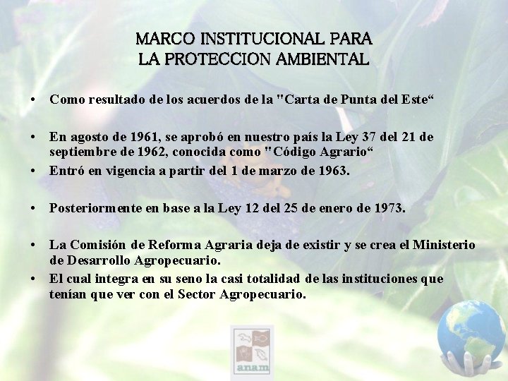 MARCO INSTITUCIONAL PARA LA PROTECCION AMBIENTAL • Como resultado de los acuerdos de la
