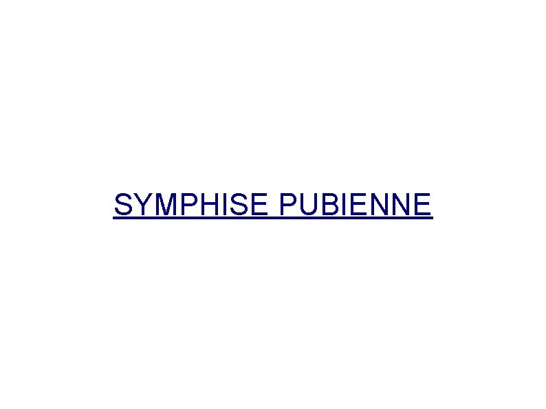 SYMPHISE PUBIENNE 