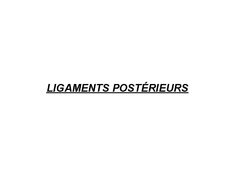 LIGAMENTS POSTÉRIEURS 