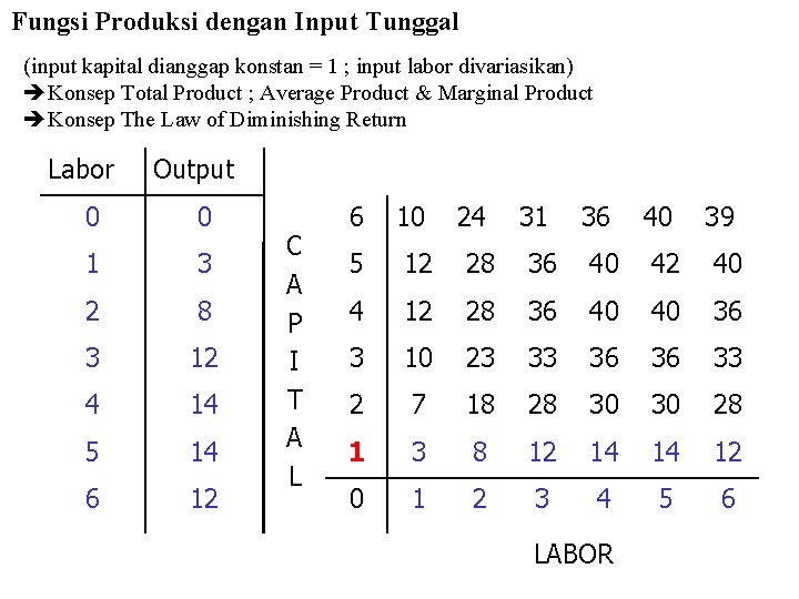 Fungsi Produksi dengan Input Tunggal (input kapital dianggap konstan = 1 ; input labor