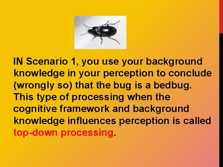 IN Scenario 1, you use your background knowledge in your perception to conclude (wrongly