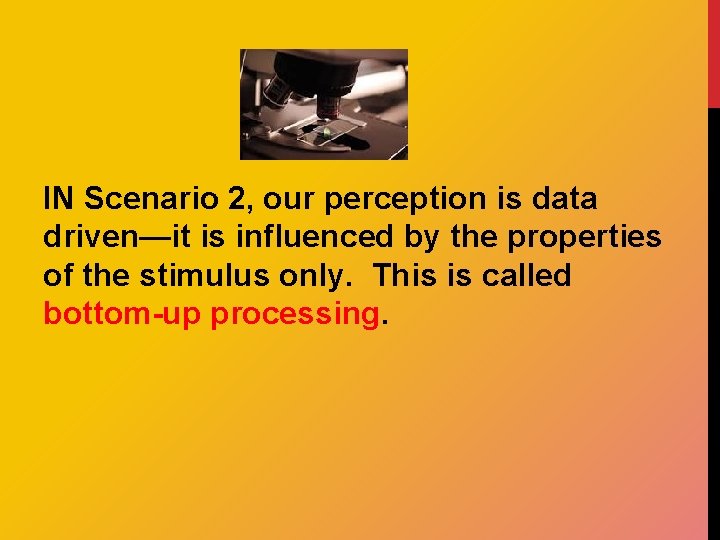 IN Scenario 2, our perception is data driven—it is influenced by the properties of