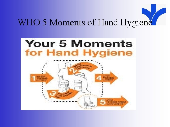 WHO 5 Moments of Hand Hygiene 
