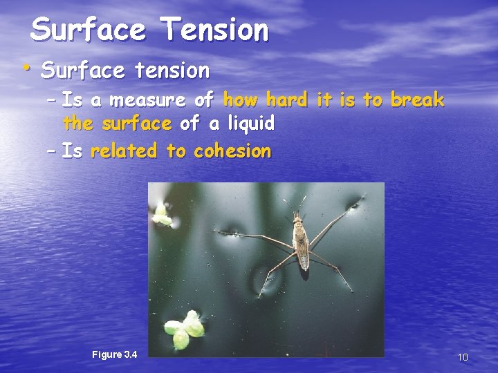 Surface Tension • Surface tension – Is a measure of how hard it is
