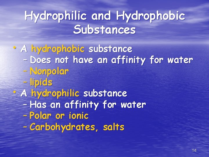 Hydrophilic and Hydrophobic Substances • A hydrophobic substance – Does not have an affinity