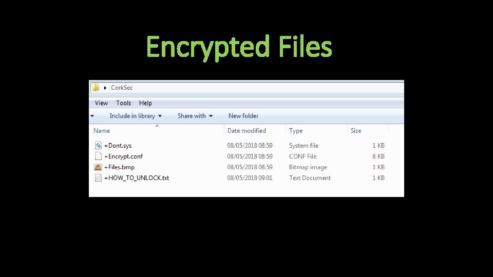 Encrypted Files 