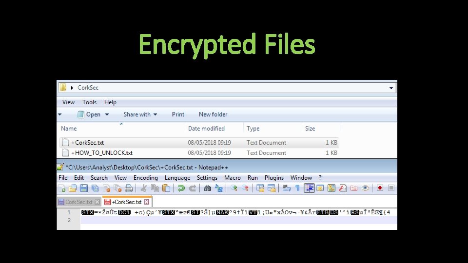 Encrypted Files 