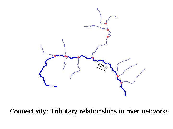Connectivity: Tributary relationships in river networks Connectivity: Tributary relationships in river networks