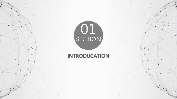 01 SECTION INTRODUCATION 