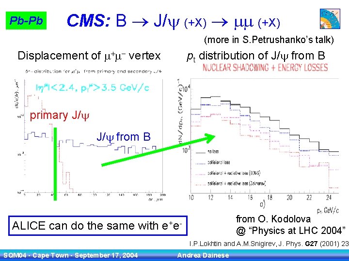 Pb-Pb CMS: B J/y (+X) mm (+X) (more in S. Petrushanko’s talk) Displacement of