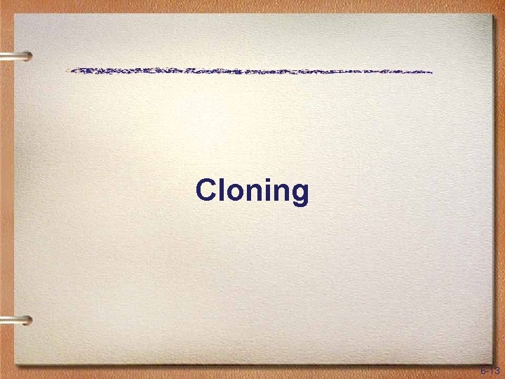 Cloning 6 -13 