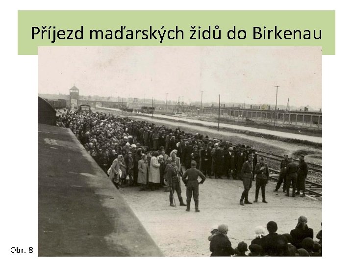 Příjezd maďarských židů do Birkenau Obr. 8 