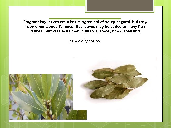 ________ Fragrant bay leaves are a basic ingredient of bouquet garni, but they have