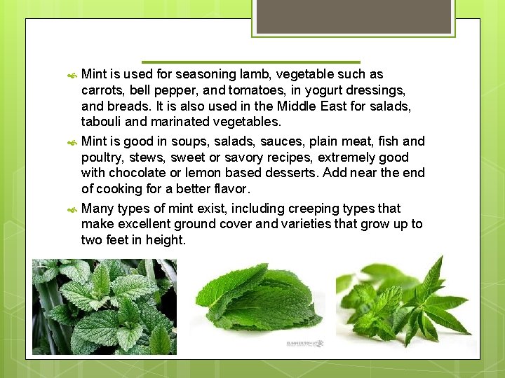 _______ Mint is used for seasoning lamb, vegetable such as carrots, bell pepper, and