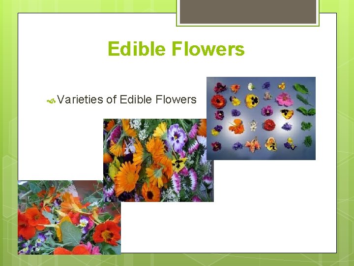 Edible Flowers Varieties of Edible Flowers 