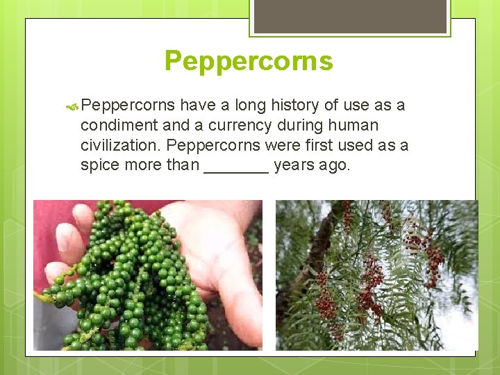 Peppercorns have a long history of use as a condiment and a currency during