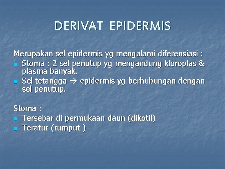 DERIVAT EPIDERMIS Merupakan sel epidermis yg mengalami diferensiasi : n Stoma : 2 sel