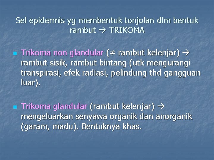 Sel epidermis yg membentuk tonjolan dlm bentuk rambut TRIKOMA n n Trikoma non glandular