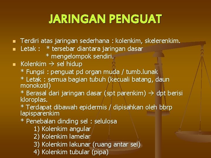 JARINGAN PENGUAT n n n Terdiri atas jaringan sederhana : kolenkim, skelerenkim. Letak :