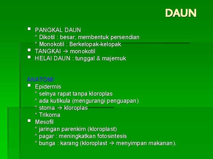 DAUN § § § PANGKAL DAUN * Dikotil : besar, membentuk persendian * Monokotil