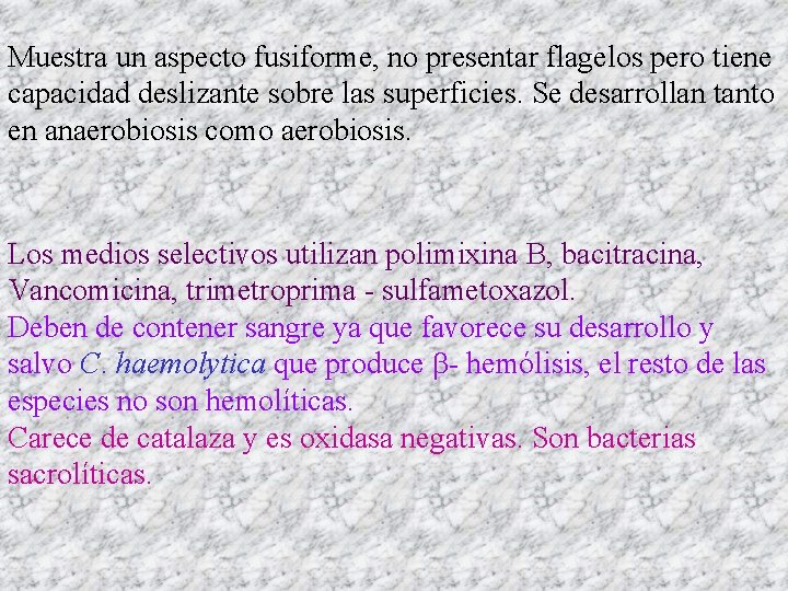 Muestra un aspecto fusiforme, no presentar flagelos pero tiene capacidad deslizante sobre las superficies.