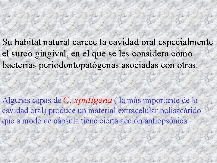 Su hábitat natural carece la cavidad oral especialmente el surco gingival, en el que