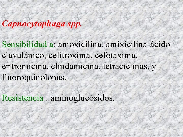 Capnocytophaga spp. Sensibilidad a: amoxicilina, amixicilina-ácido clavulánico, cefuroxima, cefotaxima, eritromicina, clindamicina, tetraciclinas, y fluoroquinolonas.