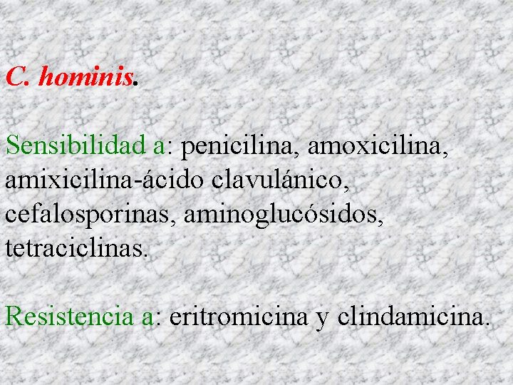 C. hominis. Sensibilidad a: penicilina, amoxicilina, amixicilina-ácido clavulánico, cefalosporinas, aminoglucósidos, tetraciclinas. Resistencia a: eritromicina